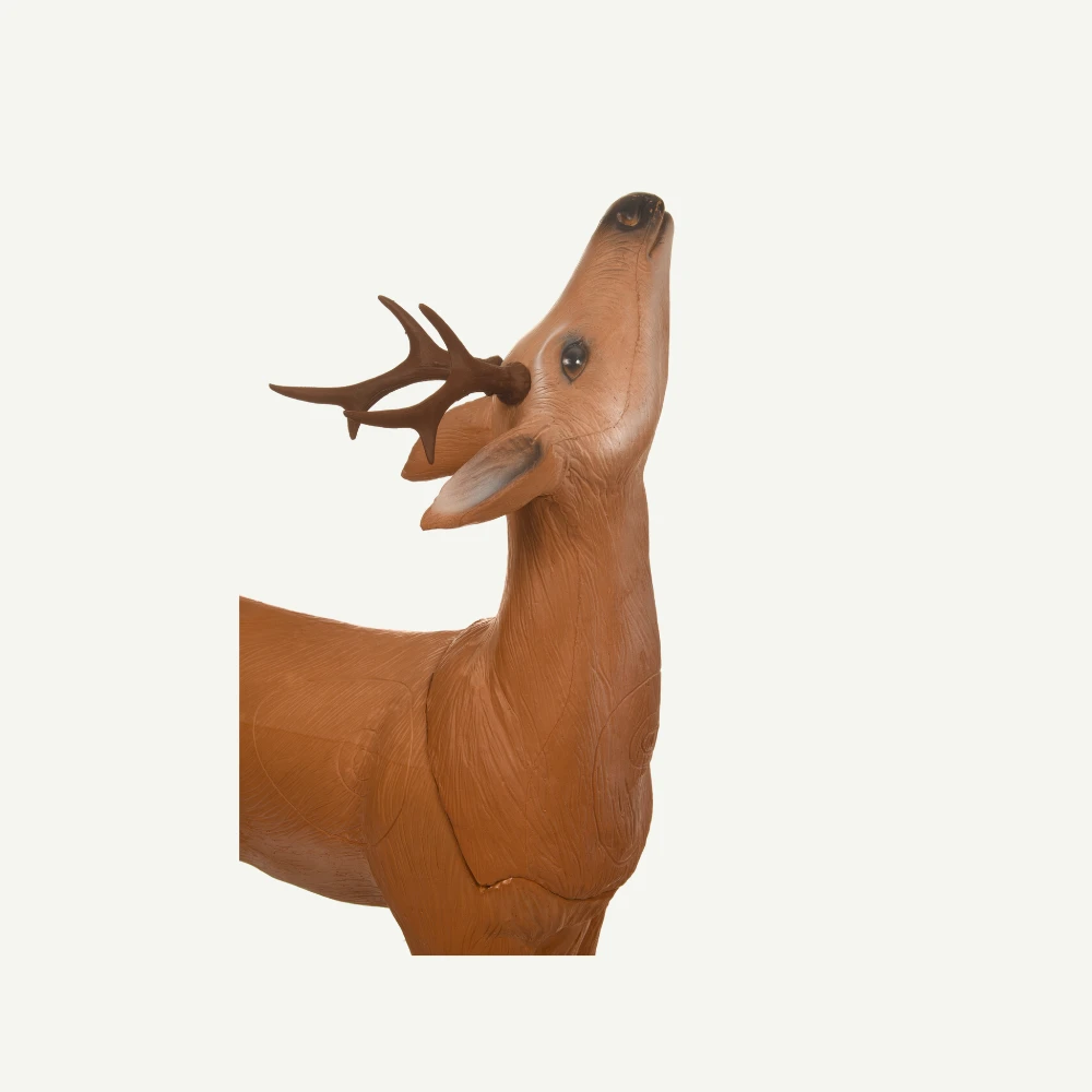 60425 Longlife Äsender Rehbock 5 60425 Longlife Äsender Rehbock – Bild 3