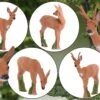 100440 IBB 3D Target Roe Group With Buck -Bogenwelt Verkauf IBB 3D Tier Rehgruppe Bock