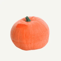 100427 IBB 3D Target Pumpkin