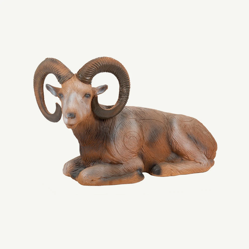 100108 Longlife Lying Mouflon 3 100108 Longlife Lying Mouflon
