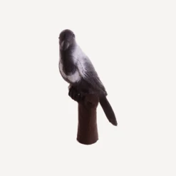 100462 IBB 3D Target Hooded Crow