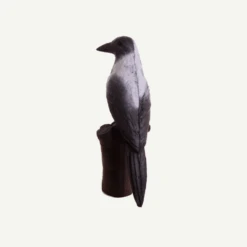 100462 IBB 3D Target Hooded Crow -Bogenwelt Verkauf nebelkraehe3