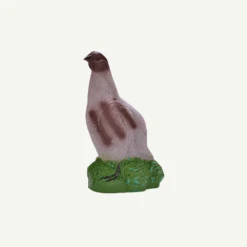 100409 IBB 3D Partridge Male