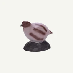 100410 IBB 3D Target Partridge